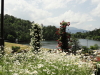 img0235.jpg