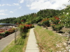 img0243.jpg