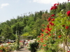 img0245.jpg