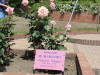 img0251.jpg