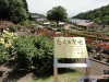 img0253.jpg
