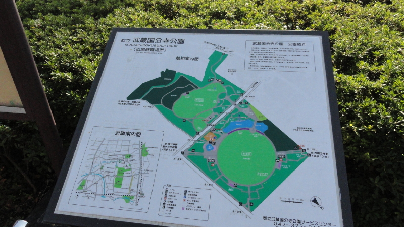 img0003.jpg