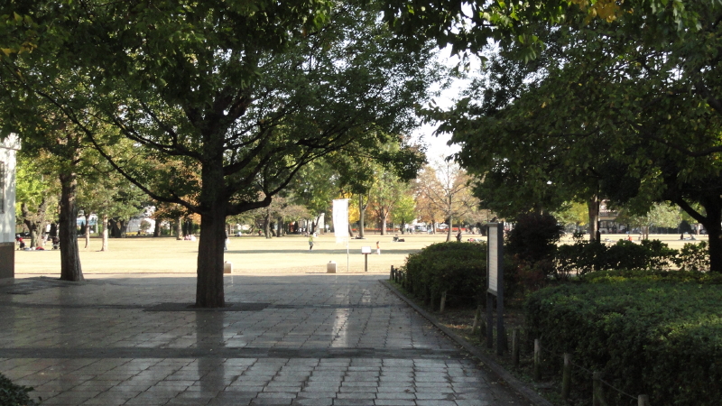 img0005.jpg