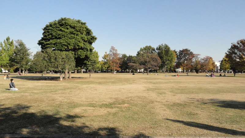 img0006.jpg