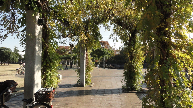 img0007.jpg