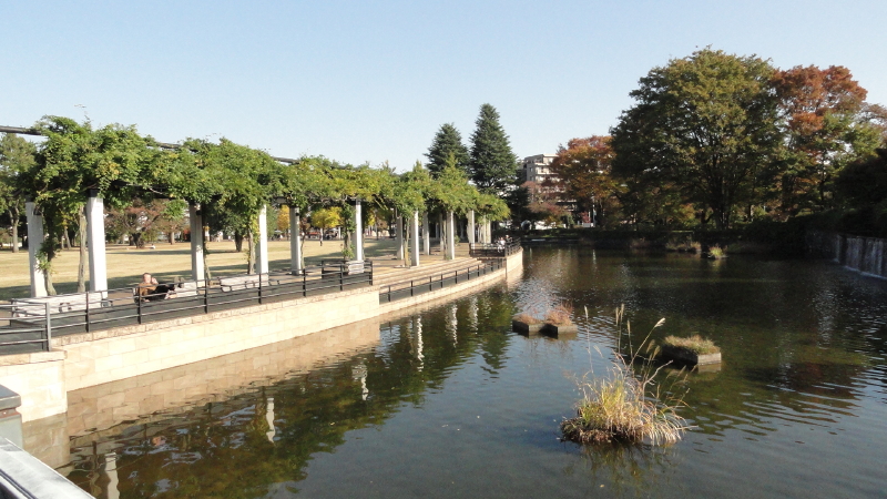 img0008.jpg