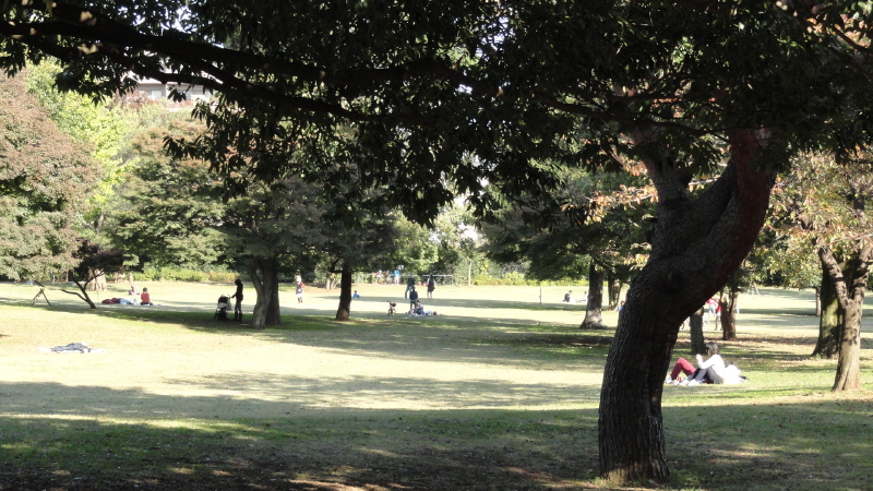 img0009.jpg