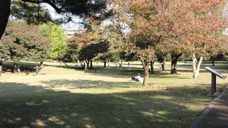 img0011.jpg