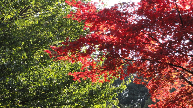 img0013.jpg