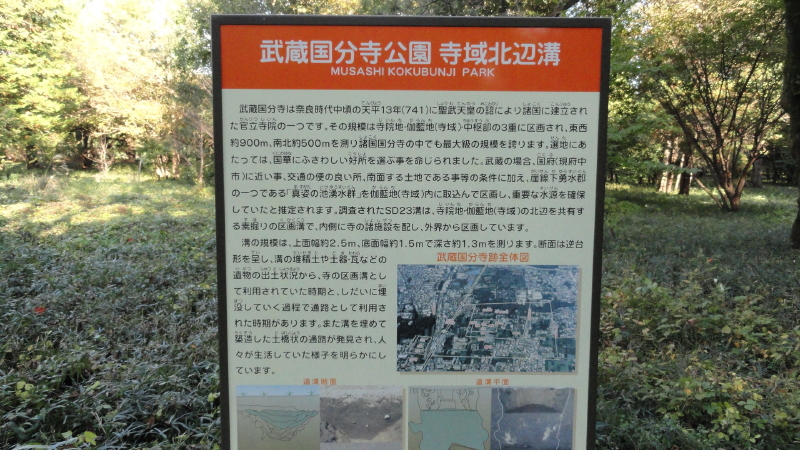 img0014.jpg