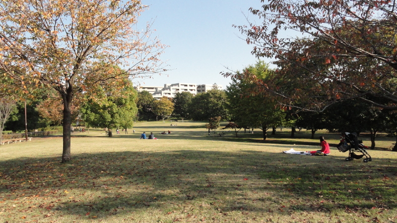 img0015.jpg