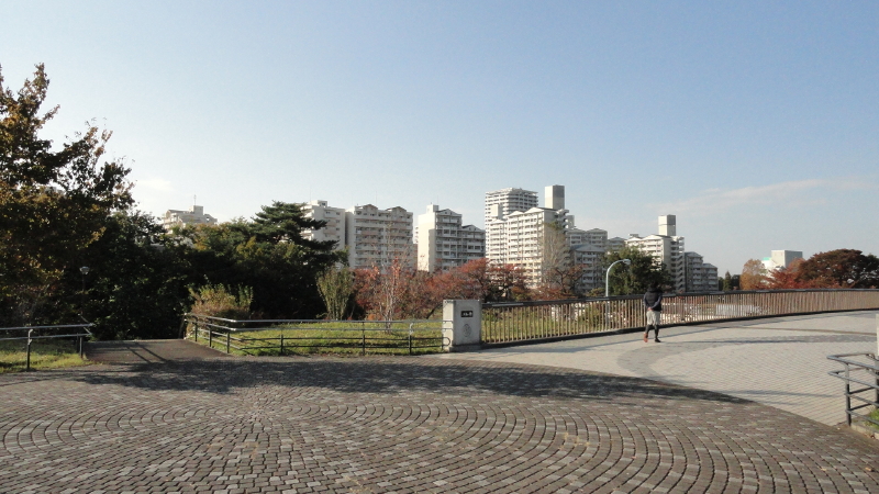 img0016.jpg