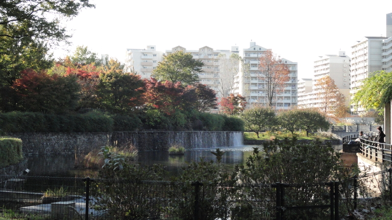 img0022.jpg