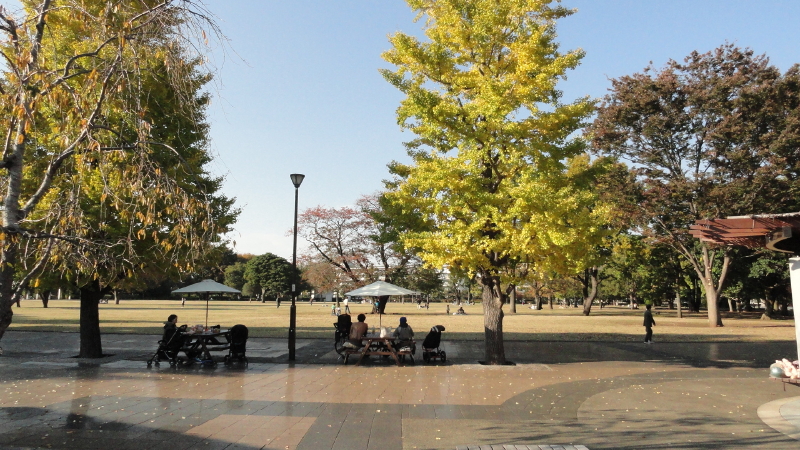 img0024.jpg