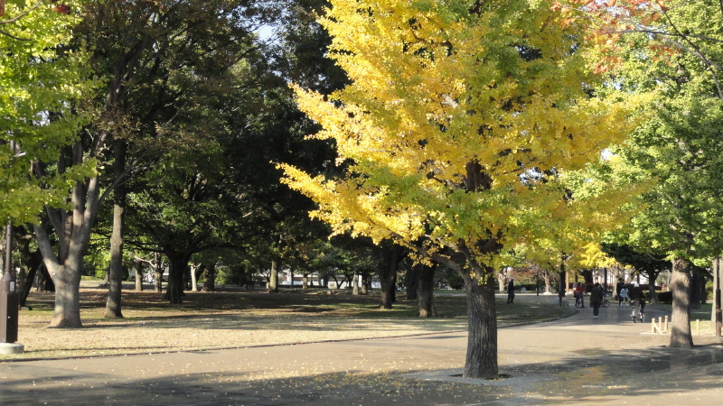 img0025.jpg