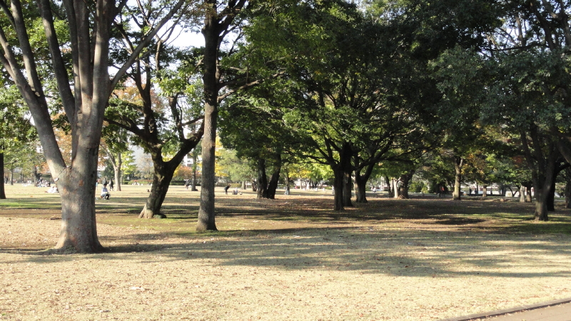img0026.jpg