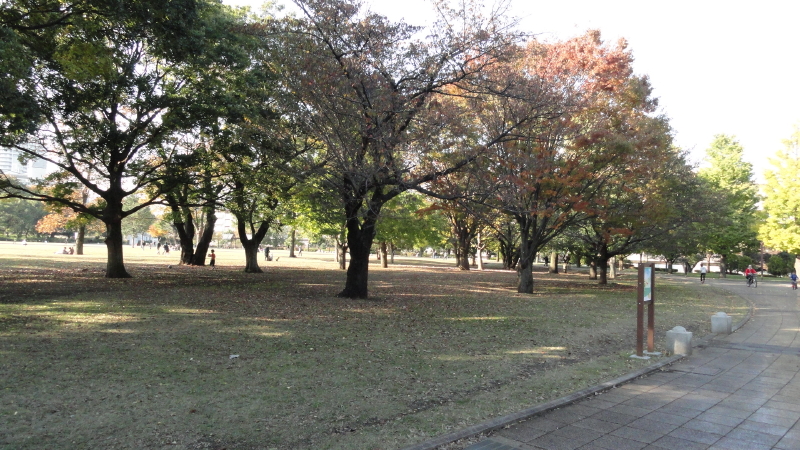 img0027.jpg