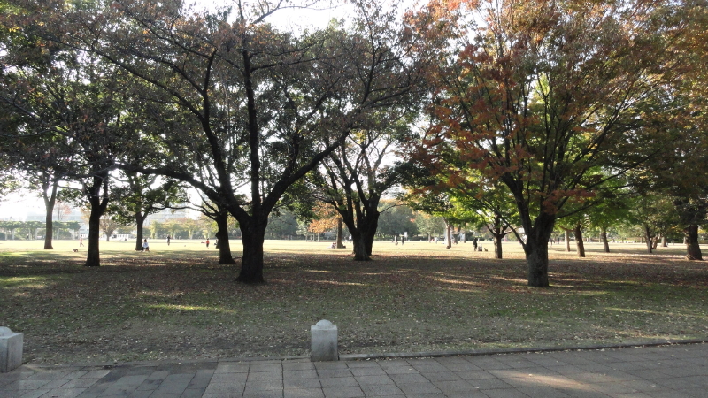 img0028.jpg