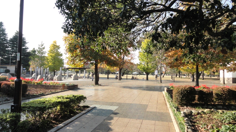 img0029.jpg