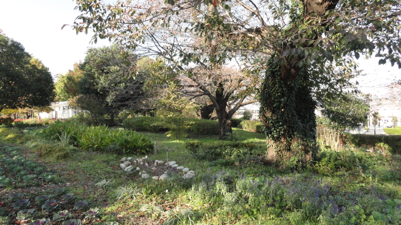 img0030.jpg