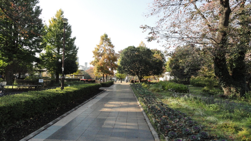 img0031.jpg