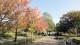 img0004.jpg