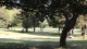 img0009.jpg