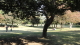 img0010.jpg