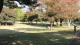 img0011.jpg