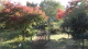 img0012.jpg