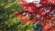 img0013.jpg