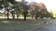 img0027.jpg