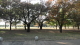 img0028.jpg