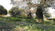 img0030.jpg