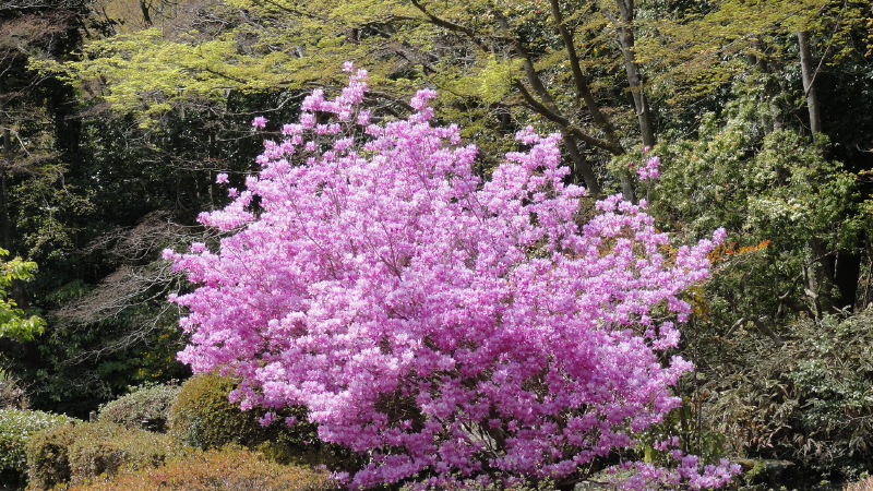 img0005.jpg