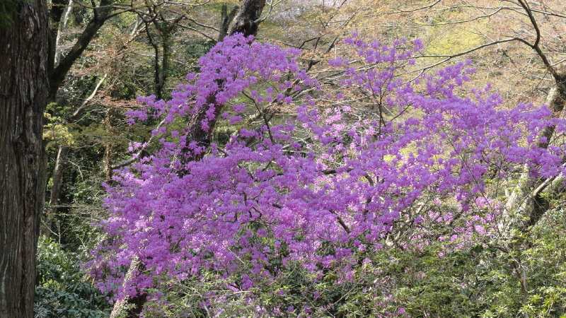 img0010.jpg