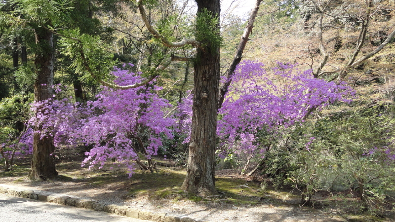 img0011.jpg