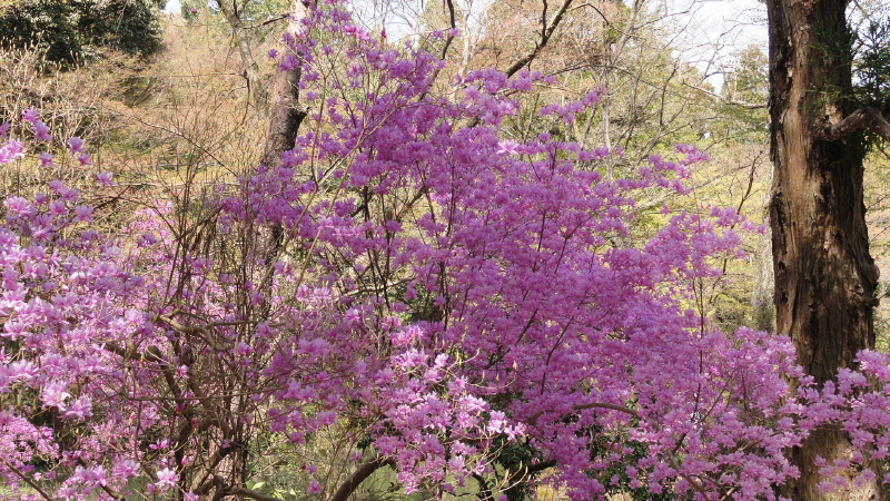 img0014.jpg