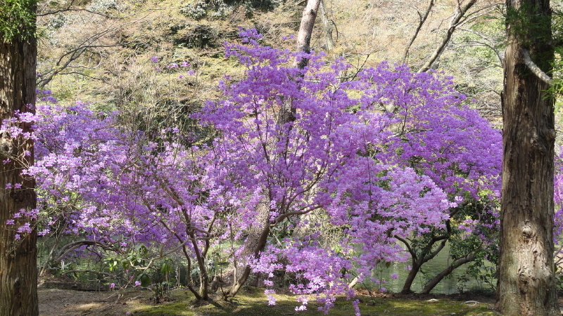 img0017.jpg