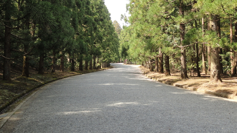 img0018.jpg