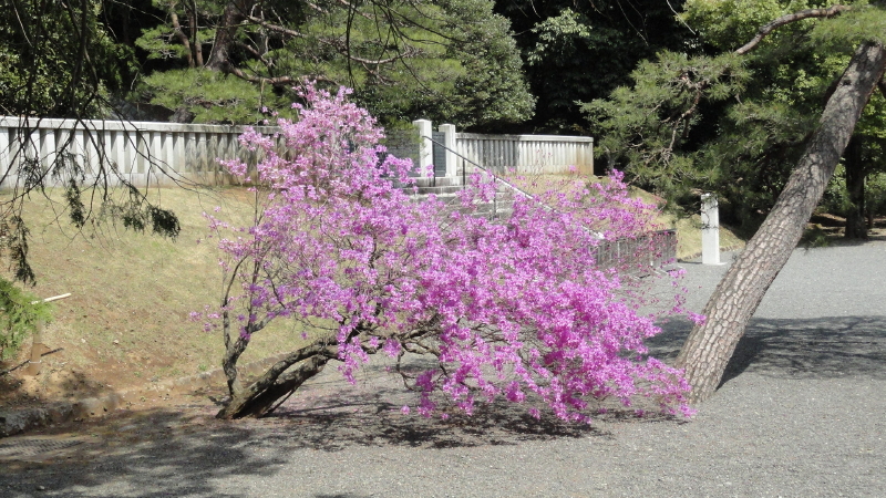 img0025.jpg