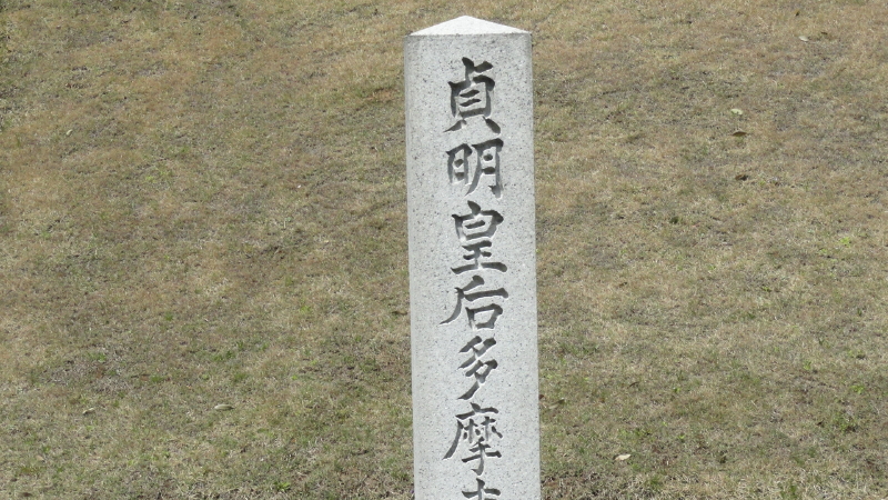 img0028.jpg