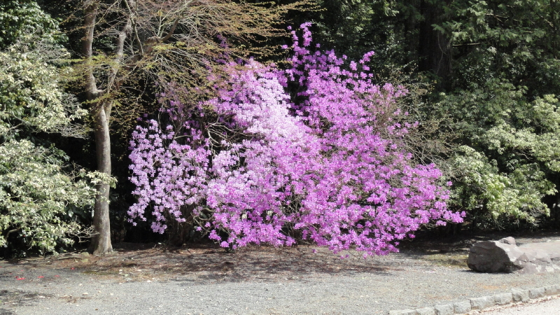 img0029.jpg