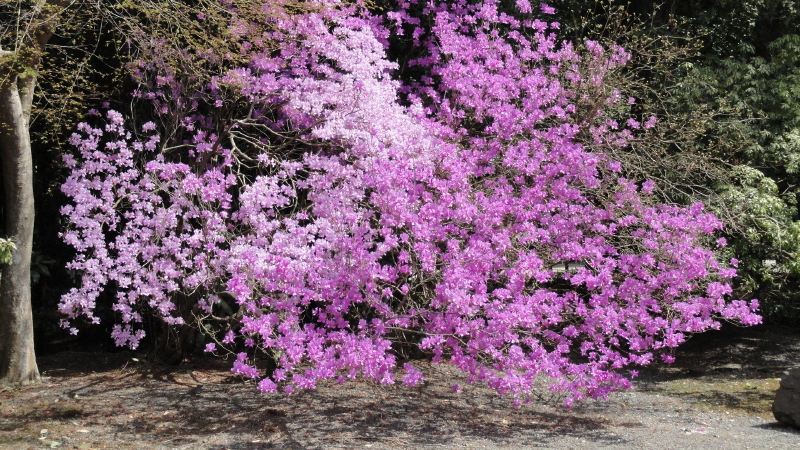 img0030.jpg