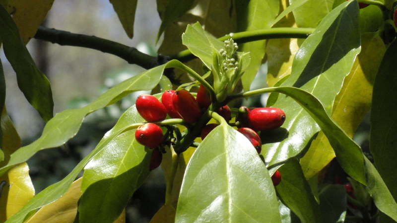 img0042.jpg