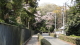img0001.jpg