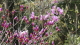 img0007.jpg
