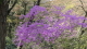 img0010.jpg