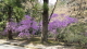 img0011.jpg