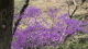 img0012.jpg